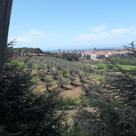 Dolci Ricordi Apartment Ливорно Екстериор снимка