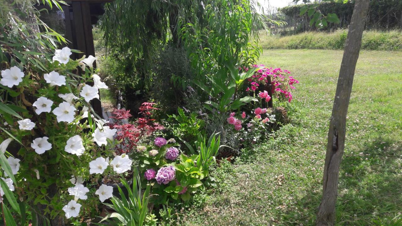Dolci Ricordi Apartment Ливорно Екстериор снимка