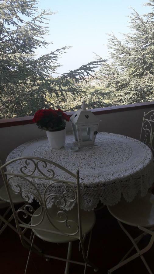 Dolci Ricordi Apartment Ливорно Екстериор снимка
